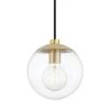 Meadow 1-light Aged Brass Pendant with Clear Glass Shade by Mitzi by Hudson Valley Lighting