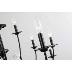 Boise 18-Light Candle Style Traditional Chandelier with Wrought Iron Accents by Maxax -Maxax Elegant store black maxax chandeliers mx19134 18bk p 4f 1000