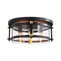 Raleigh 4 - Light 16.8 in. Black Drum Flush Mount With Glass Shade by Maxax