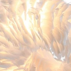 Columbus 6 -Light White Unique/Statement Geometric Chandelier with Feather Accents by Maxax 12 Columbus 6 -Light White Unique/Statement Geometric Chandelier with Feather Accents by Maxax -Maxax Elegant store white maxax chandeliers mx19115 6wh p c3 1000