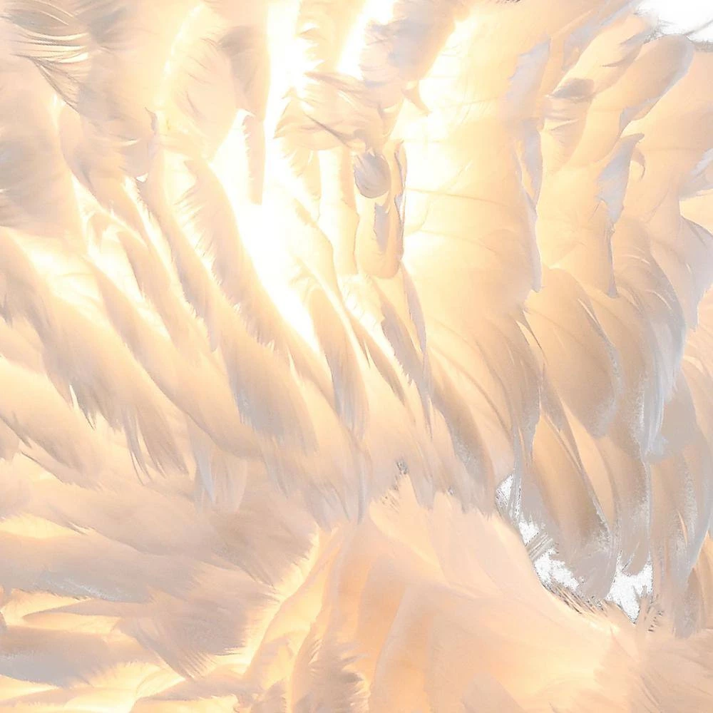 Columbus 6 -Light White Unique/Statement Geometric Chandelier with Feather Accents by Maxax 4 Columbus 6 -Light White Unique/Statement Geometric Chandelier with Feather Accents by Maxax - Image 4